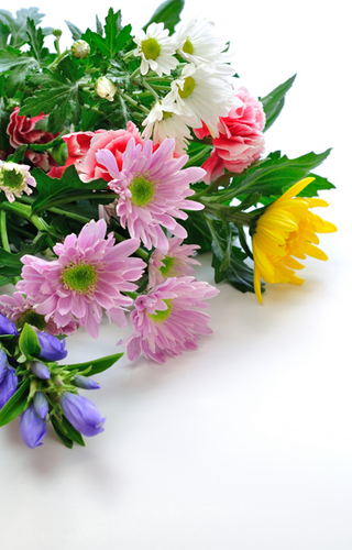 私たちがお手伝いします